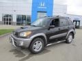 2003 Graphite Gray Pearl Toyota RAV4 4WD #65185143