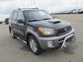 2003 Graphite Gray Pearl Toyota RAV4 4WD  photo #5