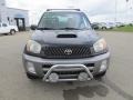 2003 Graphite Gray Pearl Toyota RAV4 4WD  photo #18