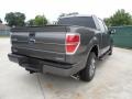 Sterling Gray Metallic - F150 XLT SuperCrew Photo No. 3