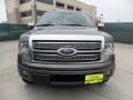 2012 Sterling Gray Metallic Ford F150 Platinum SuperCrew  photo #8