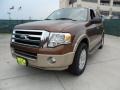 2012 Golden Bronze Metallic Ford Expedition XLT  photo #7