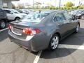 Polished Metal Metallic - TSX Sedan Photo No. 7