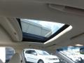 Polished Metal Metallic - TSX Sedan Photo No. 11
