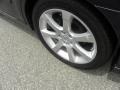 Dark Slate Metallic - Maxima 3.5 SE Photo No. 18