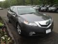 2009 Polished Metal Metallic Acura TL 3.7 SH-AWD  photo #3