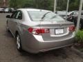 Palladium Metallic - TSX Sedan Photo No. 6