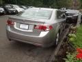 Palladium Metallic - TSX Sedan Photo No. 8