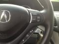 Palladium Metallic - TSX Sedan Photo No. 20
