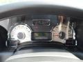 Chaparral Gauges Photo for 2012 Ford Expedition #65241638
