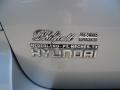 2008 Bright Silver Hyundai Santa Fe SE  photo #20