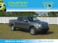 2010 Sterling Grey Metallic Ford F150 Platinum SuperCrew 4x4  photo #1