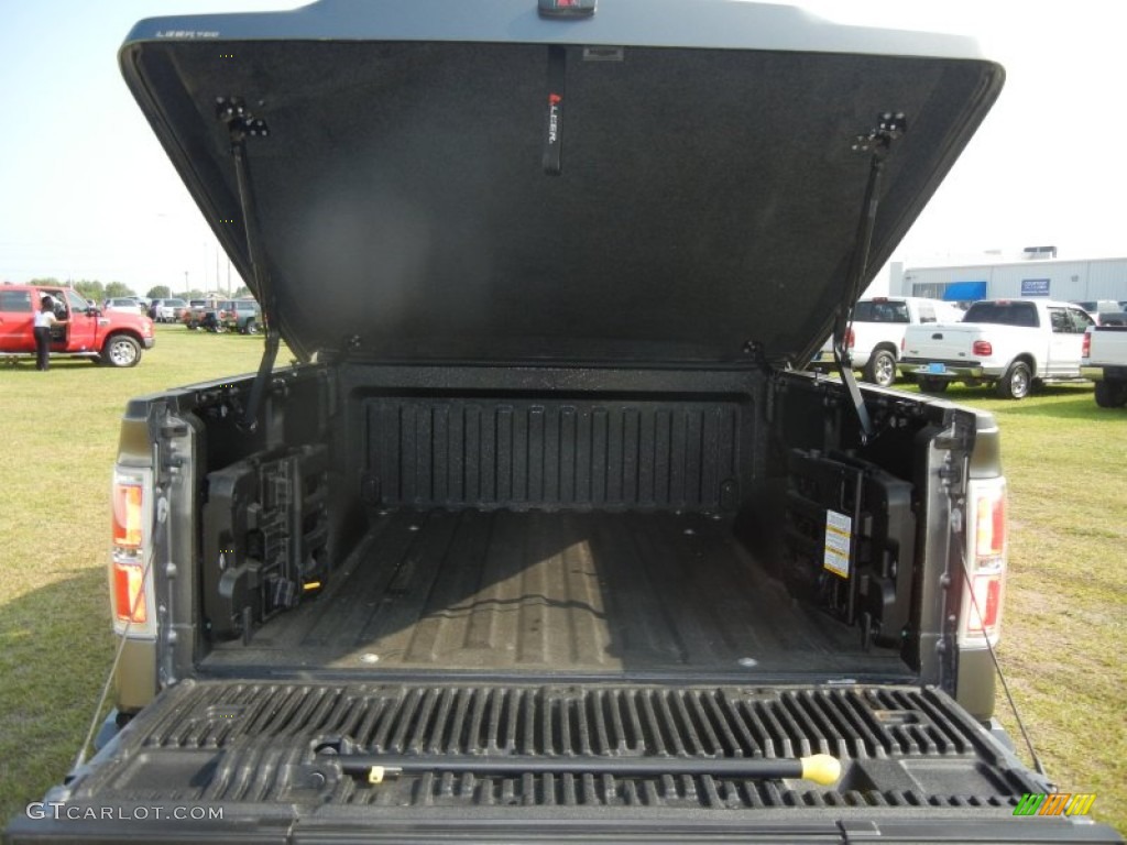 2010 F150 Platinum SuperCrew 4x4 - Sterling Grey Metallic / Tan photo #4