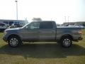 2010 Sterling Grey Metallic Ford F150 Platinum SuperCrew 4x4  photo #5