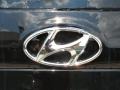 2012 Twilight Black Hyundai Santa Fe GLS  photo #16