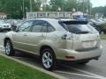 Savannah Beige Metallic - RX 350 AWD Photo No. 9