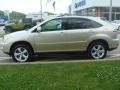 Savannah Beige Metallic - RX 350 AWD Photo No. 10