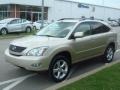 Savannah Beige Metallic - RX 350 AWD Photo No. 11