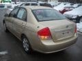 2009 Sand Beige Metallic Kia Spectra EX Sedan  photo #5