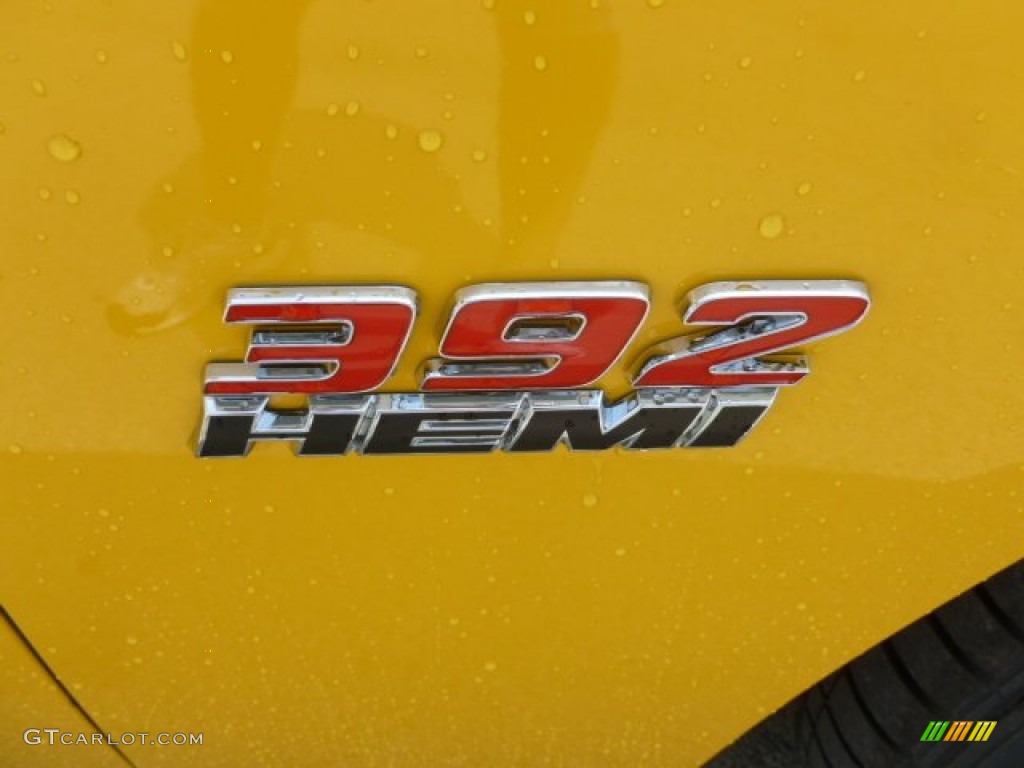 2012 Dodge Charger SRT8 Super Bee Marks and Logos Photo #65254300