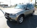 Platinum Bronze Metallic - X5 xDrive30i Photo No. 3