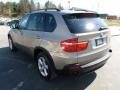 Platinum Bronze Metallic - X5 xDrive30i Photo No. 5
