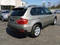 Platinum Bronze Metallic - X5 xDrive30i Photo No. 7