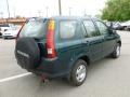 2004 Clover Green Pearl Honda CR-V LX 4WD  photo #6