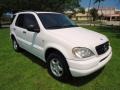 Polar White - ML 320 4Matic Photo No. 3