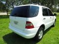Polar White - ML 320 4Matic Photo No. 4