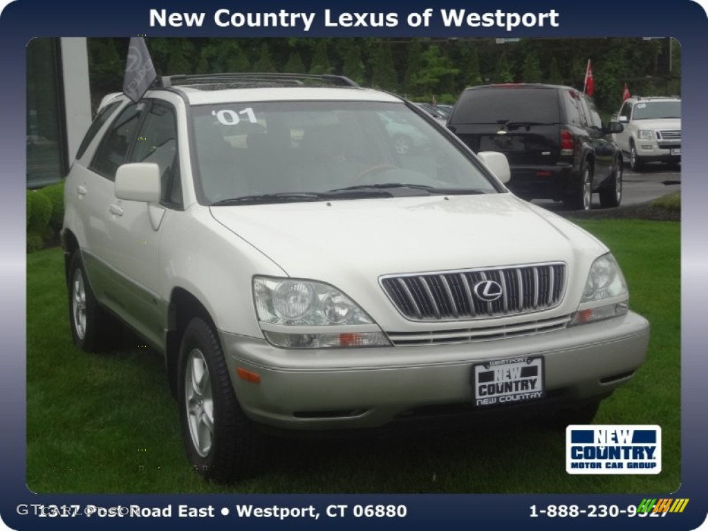 2001 RX 300 AWD - White Gold Crystal / Ivory photo #1