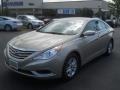 Camel Pearl - Sonata GLS Photo No. 1