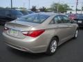Camel Pearl - Sonata GLS Photo No. 2
