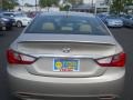 Camel Pearl - Sonata GLS Photo No. 13