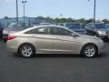 Camel Pearl - Sonata GLS Photo No. 14