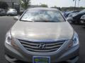 Camel Pearl - Sonata GLS Photo No. 15