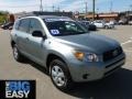 Everglade Metallic - RAV4  Photo No. 1
