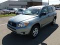 Everglade Metallic - RAV4  Photo No. 3