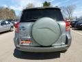 Everglade Metallic - RAV4  Photo No. 6