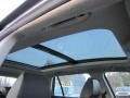 Anthracite Sunroof Photo for 2009 Volkswagen Jetta #65267030