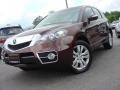 Basque Red Pearl - RDX SH-AWD Technology Photo No. 1