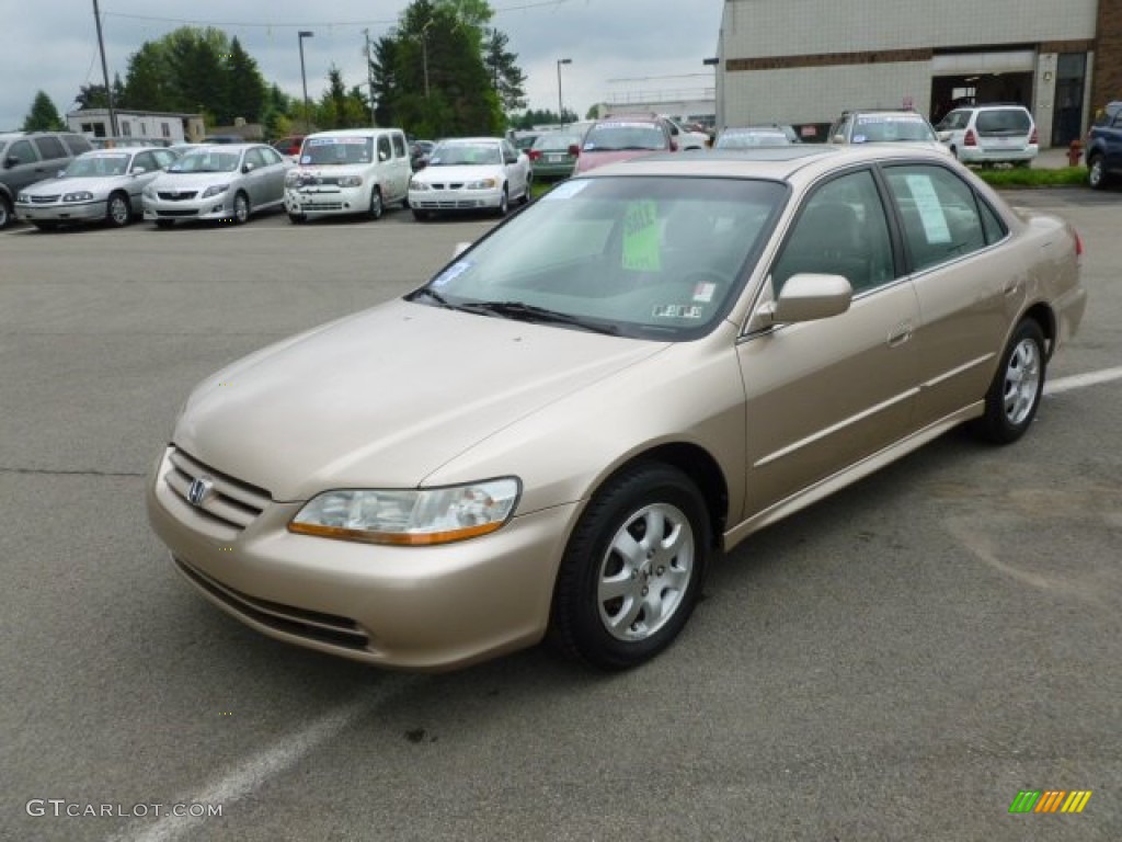 2002 Accord EX Sedan - Naples Gold Metallic / Ivory photo #3