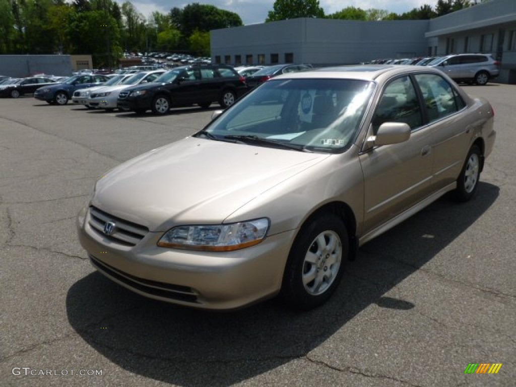 2001 Accord EX Sedan - Naples Gold Metallic / Ivory photo #3