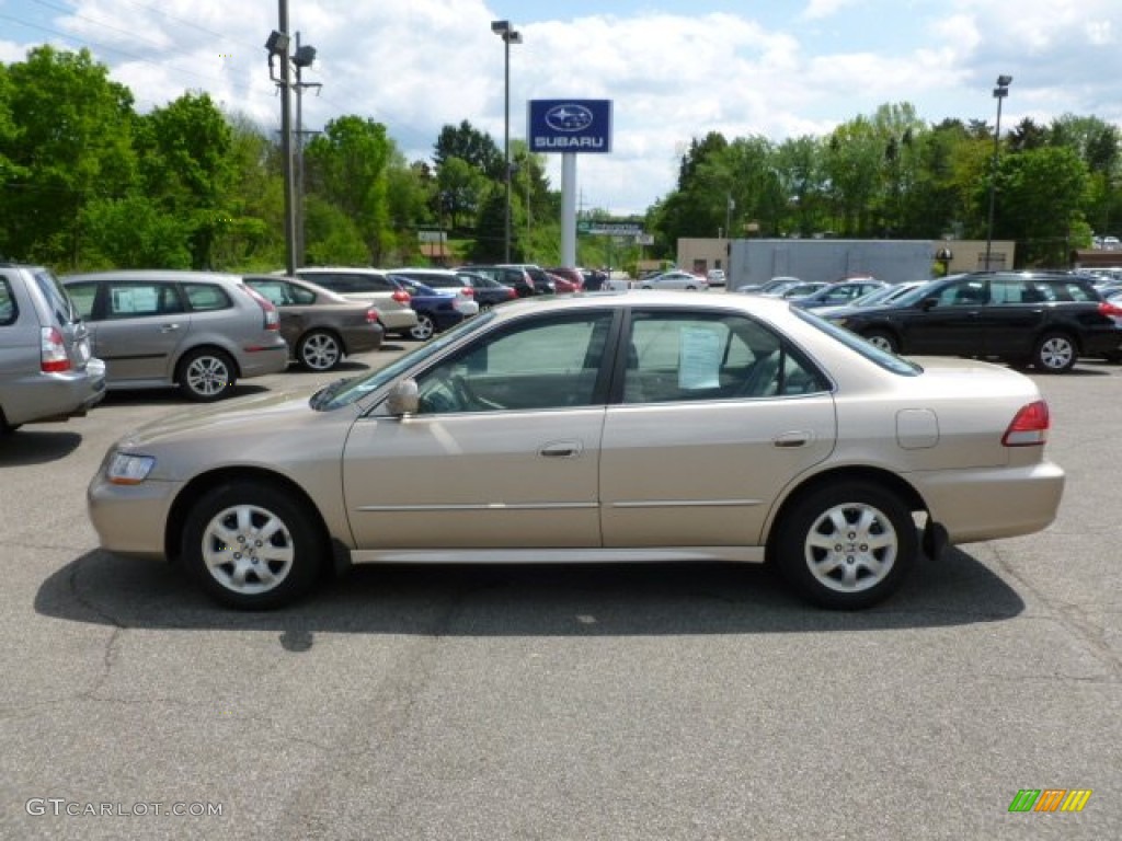 2001 Accord EX Sedan - Naples Gold Metallic / Ivory photo #4