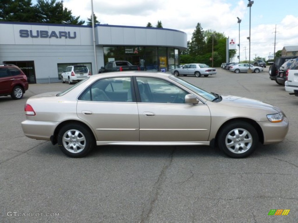2001 Accord EX Sedan - Naples Gold Metallic / Ivory photo #8
