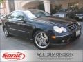 Black Opal Metallic 2003 Mercedes-Benz CLK 500 Coupe