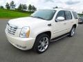 White Diamond - Escalade  Photo No. 1