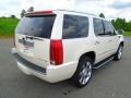 White Diamond - Escalade  Photo No. 6