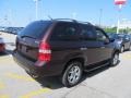 2002 Deep Mahogany Red Pearl Acura MDX   photo #5