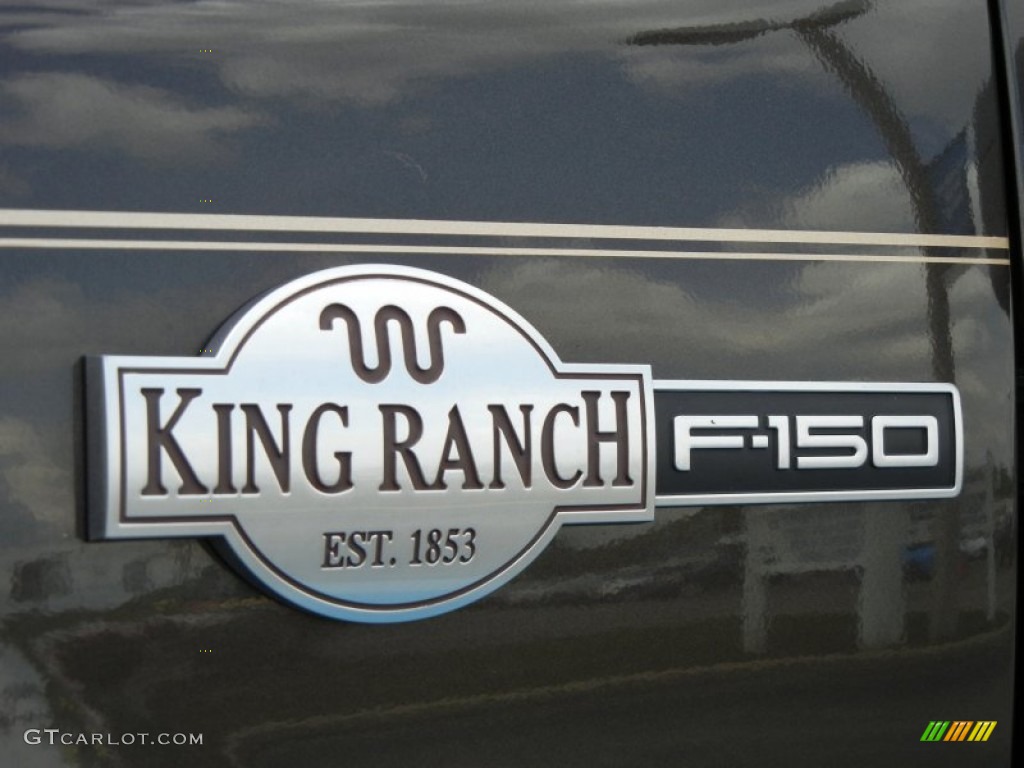 2006 F150 King Ranch SuperCrew - Dark Stone Metallic / Castano Brown Leather photo #9
